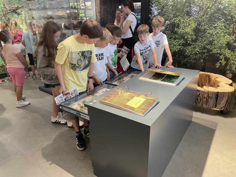 museum