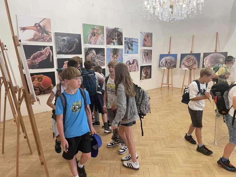 museum
