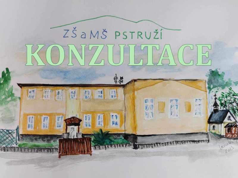 konzultace