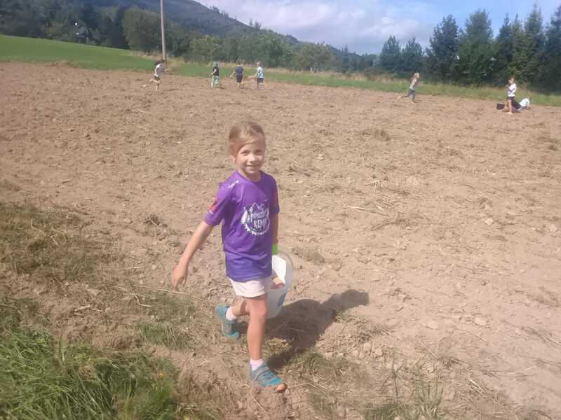 Vykopej si bramboru