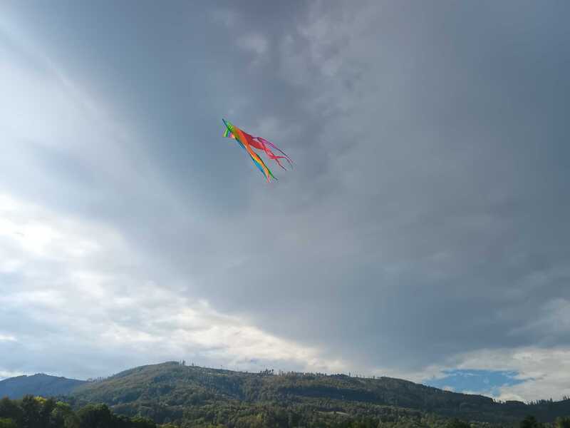 Draci