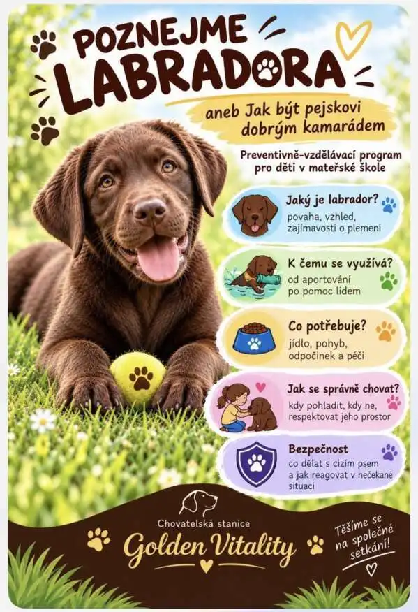 pejsek